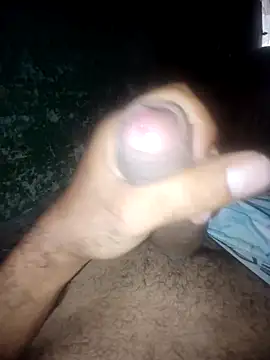 taylorWiiz online show from 2, 10, 2025