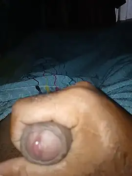 taylorWiiz online show from 3, 11, 2025