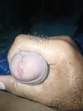 taylorWiiz online show from 26, 11, 2025