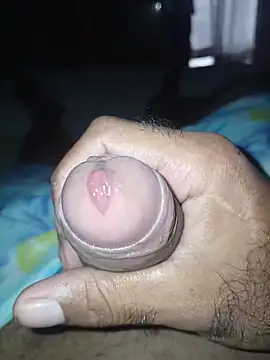 taylorWiiz online show from 4, 3, 2026