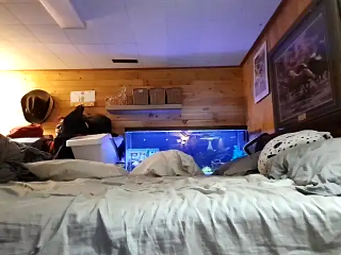 Ryan and Aurora online show from 12, 3, 2026