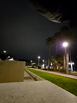 charlye inkkkk online show from 28, 2, 2026