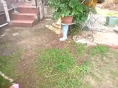 Snapshot of bustybillies chatting on 11, 10, 2025 bustybillies online show from 11, 10, 2025