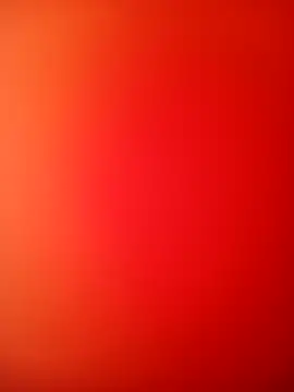 bustybillies online show from 2, 12, 2025