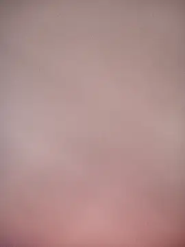 bustybillies online show from 6, 1, 2026