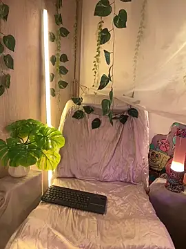 Kitty arts online show from 2, 3, 2025