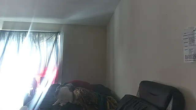 Snapshot of RickStone51 chatting on 2, 3, 2026 RickStone51 online show from 2, 3, 2026