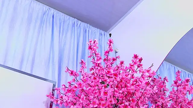 AlliciaKim online show from 28, 4, 2026