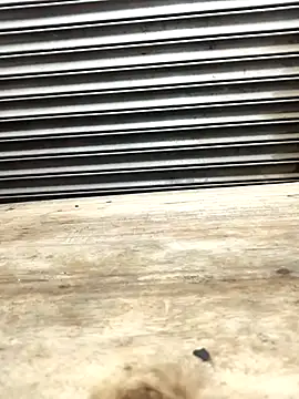 Bhabhi desi12 online show from 9, 11, 2025