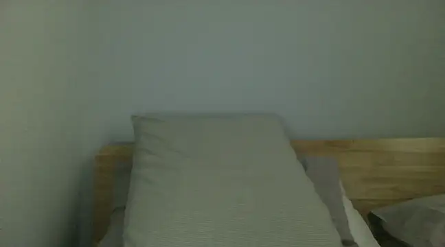 Snapshot of corlo2 chatting on 22, 1, 2025 corlo2 online show from 22, 1, 2025