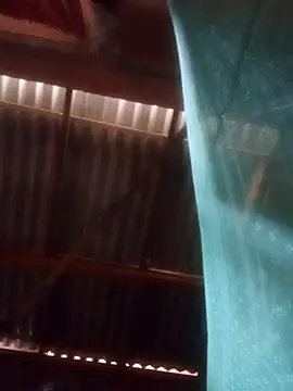 walkollanew99 online show from 25, 3, 2026