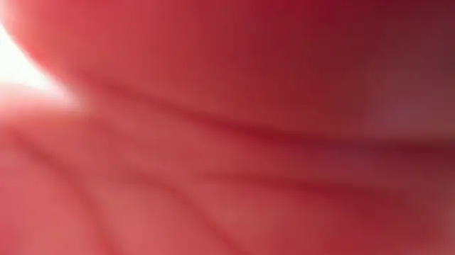 Wet Girlxxx online show from 14, 2, 2025