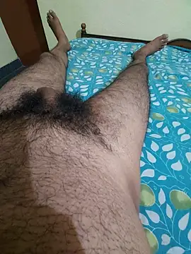 hard cock99 online show from 28, 7, 2026