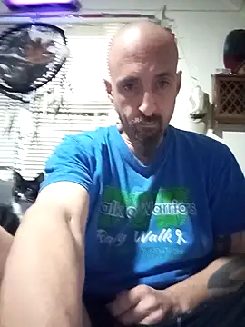 armdy371 online show from 11, 5, 2026
