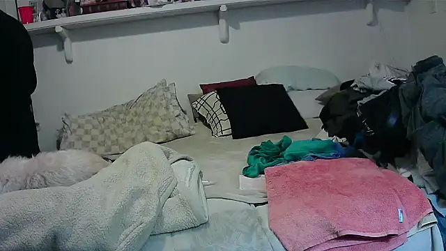 Hand69someguy online show from 6, 11, 2025