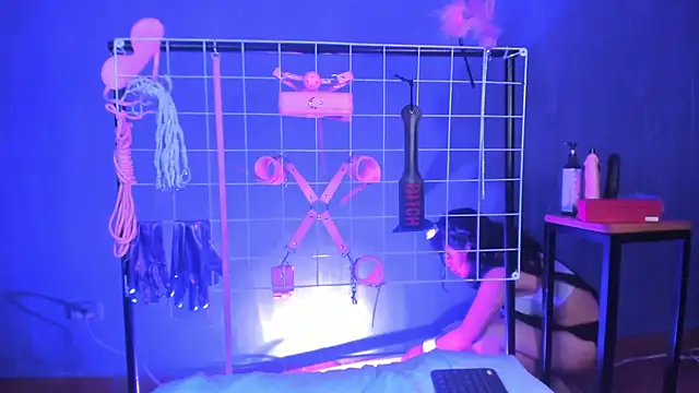 vanelope11 online show from 12, 2, 2025