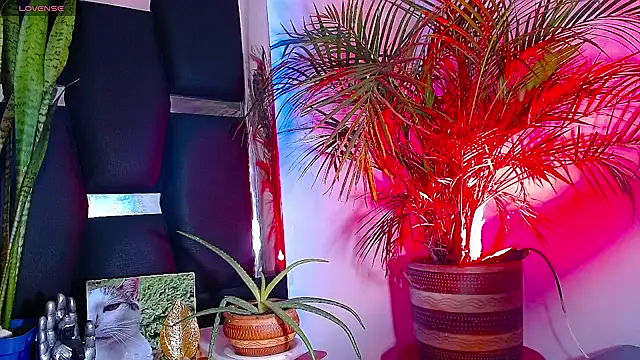 RyanRizzo online show from 22, 1, 2025