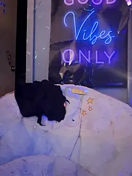 fantasymade69 online show from 8, 11, 2025