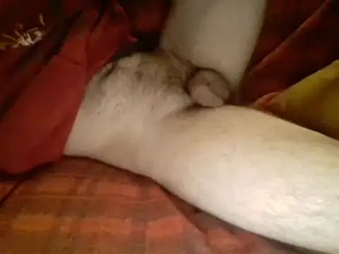 Snapshot of Ariete80s chatting on 10, 3, 2025 Ariete80s online show from 10, 3, 2025