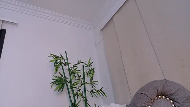 miranda villa online show from 19, 12, 2025