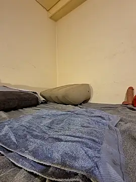 Snapshot of fox--3 chatting on 10, 2, 2026 fox--3 online show from 10, 2, 2026