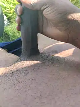 dhaadhawe online show from 6, 3, 2026