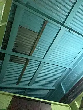 islandvybee55 online show from 11, 1, 2026