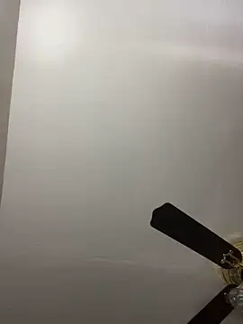 islandvybee55 online show from 19, 4, 2026