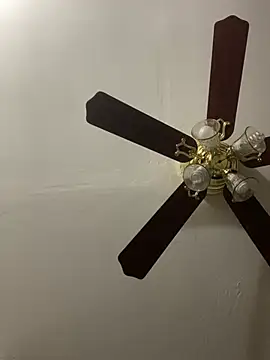 islandvybee55 online show from 24, 4, 2026