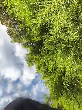 VioletaSubmissive online show from 20, 4, 2026