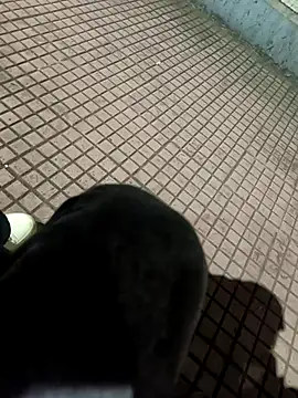 SurjS9 online show from 20, 9, 2025