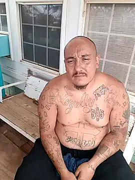 wilsons12 online show from 19, 9, 2025