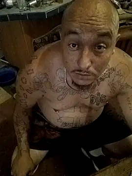 wilsons12 online show from 12, 10, 2025