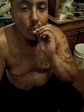 wilsons12 online show from 15, 11, 2025