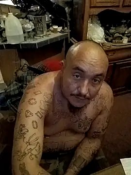 wilsons12 online show from 26, 11, 2025