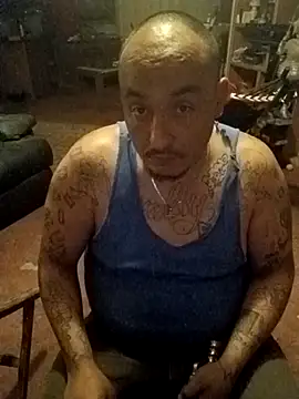 wilsons12 online show from 13, 2, 2026