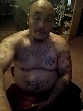 wilsons12 online show from 27, 3, 2026