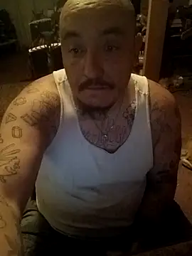 wilsons12 online show from 24, 4, 2026