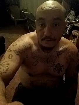 wilsons12 online show from 27, 4, 2026