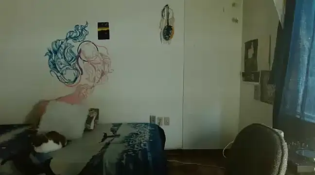 fenixmfx19 online show from 17, 12, 2024