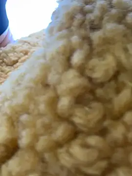 Snapshot of moneymaker_taipei chatting on 25, 2, 2026 moneymaker taipei online show from 25, 2, 2026