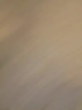 honeybrow online show from 26, 2, 2025