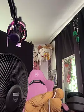 pawmistry online show from 2, 3, 2025