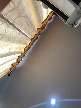 pawmistry online show from 2, 10, 2025