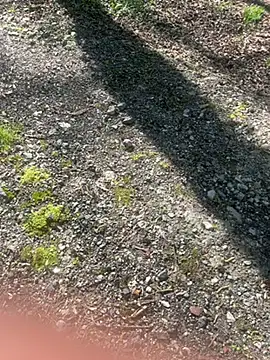 pupine35 online show from 3, 4, 2026