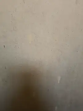 Snapshot of loveme99004 chatting on 16, 2, 2026 loveme99004 online show from 16, 2, 2026