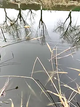 huzi518 online show from 27, 2, 2025