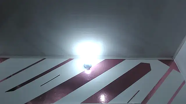 Kitten Hot  online show from 1, 12, 2025