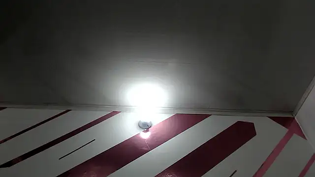 Kitten Hot  online show from 15, 1, 2026