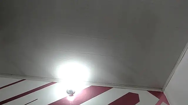 Kitten Hot  online show from 13, 3, 2026